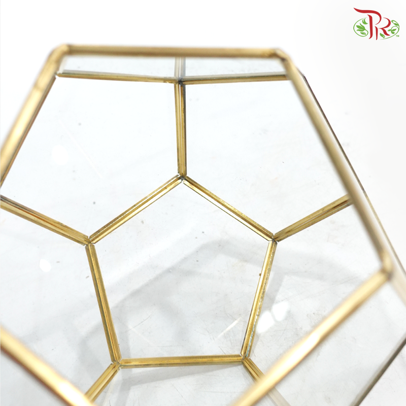 16Y1915J - Glass Hexagon Terrarium Vase (Gold Colour)