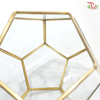 16Y1915J - Glass Hexagon Terrarium Vase (Gold Colour)