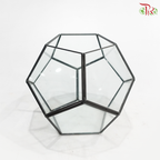 16Y1915G - Glass Hexagon Terrarium Vase