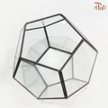 16Y1915G - Glass Hexagon Terrarium Vase