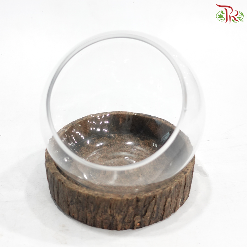 16Y3020 Terrarium Vase With Wooden Holder