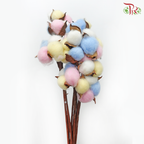 Artificial Cotton Flower - Rainbow (10 Stems) - Pudu Ria Florist