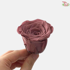 8 Blooms Preserved Rose