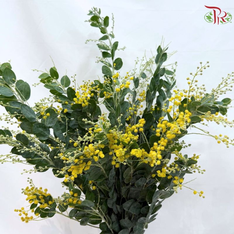 Acacia Farnesiana (Mimosa yellow)