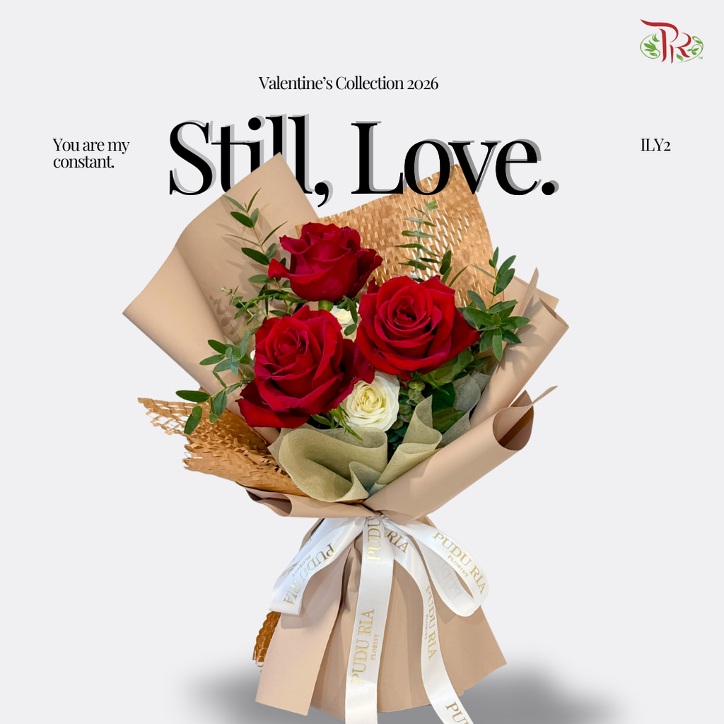 【VDAY 2026】ILY2 (I love you too) (XS Size)