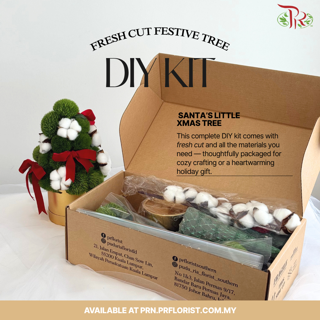 【XMAS 2025】Xmas DIY Kit - Santa’s Little Xmas Tree