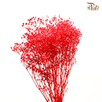 Preserved Baby's Breath - Red (Per Bunch) - Pudu Ria Florist