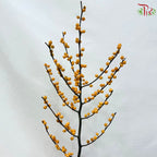 Ilex