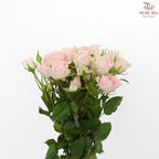 Rose Spray