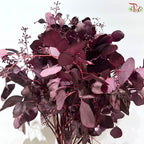 Eucalyptus Berry Dyed (Round Leaf)