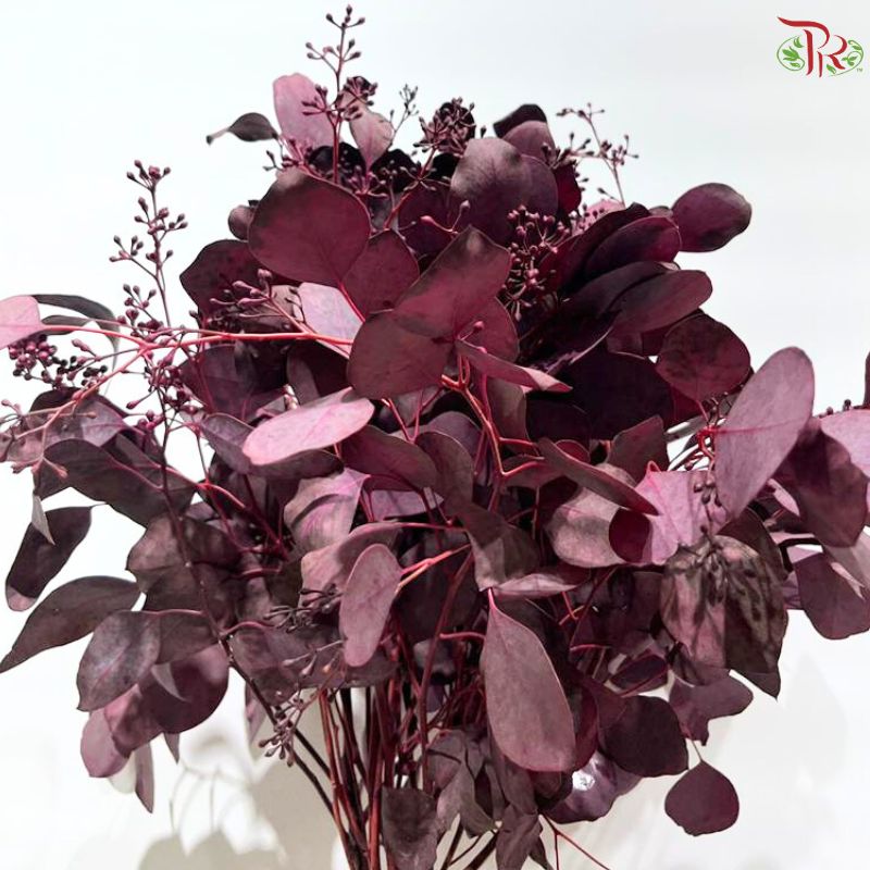 Eucalyptus Berry Dyed (Round Leaf)