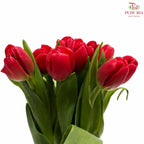 Tulip