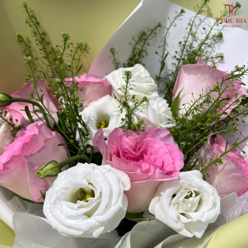 【520 Collection】Gentle, Like you