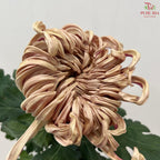 Chrysanthemum Vienna
