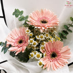 Pink Gerbera Bouquet