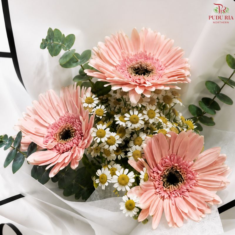 Pink Gerbera Bouquet