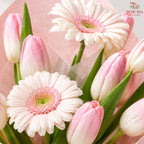 Pink Melody