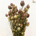 Dry Nigella Natural
