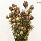 Dry Nigella Natural