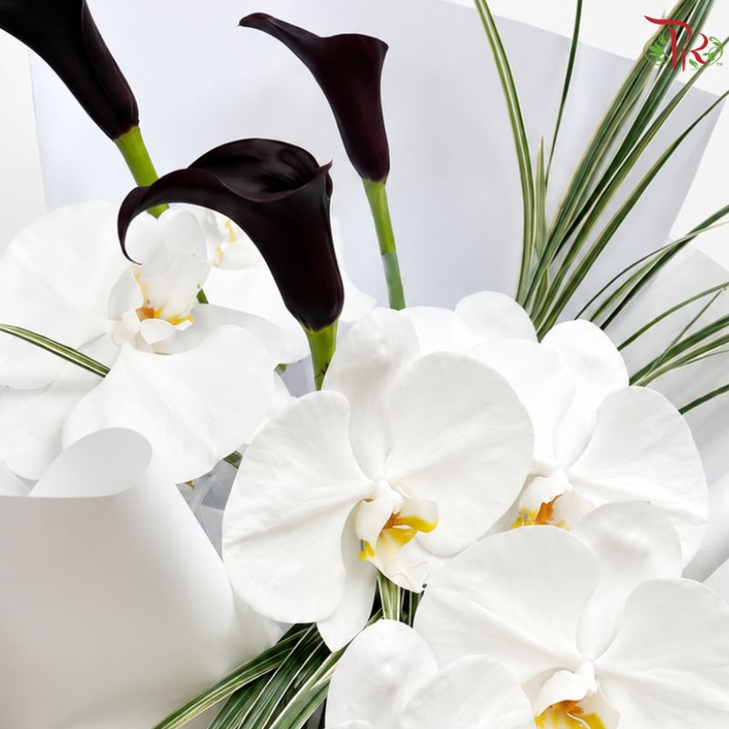 Silent Elegance