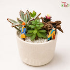 Mini Succulent Arrangement