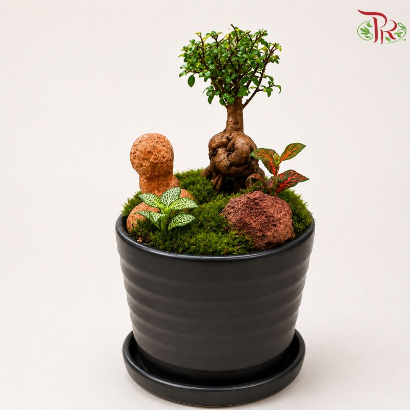 Ulmus Pumlla and Fittonia Arrangement