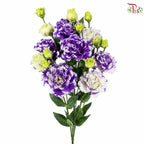 Eustoma《洋桔梗》