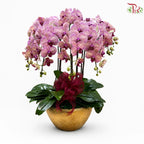 Blushing Royale-Orchid Arrangement