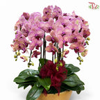 Blushing Royale-Orchid Arrangement