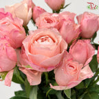 Rose Spray 《多头玫瑰》
