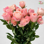 Rose Spray 《多头玫瑰》