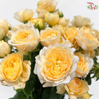 Rose Spray 《多头玫瑰》