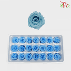 21 Bloom Rose - Blue-Blue-China-prflorist.com.my