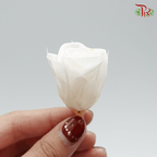 21 Bloom Rose - Extra Light Cream-Cream-China-prflorist.com.my