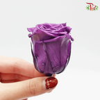 21 Bloom Rose - Purple-China-prflorist.com.my