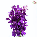 Dendrobium