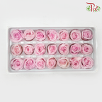 21 Blooms Preserved Rose
