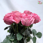 Ceres Garden Rose