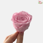 8 Blooms Preserved Rose