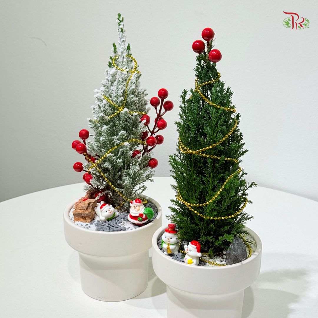 【XMAS 2025】Forest of Christmas 圣诞之森