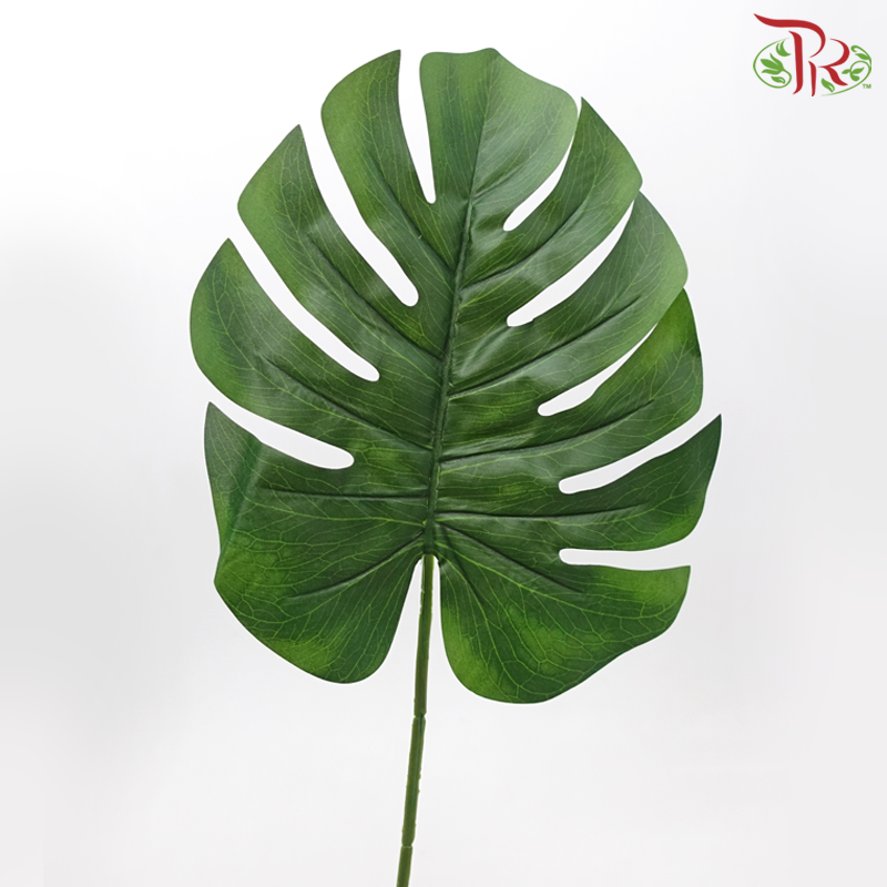 24" - Artificial Split Philo Spray - Dark Green (5 Stems)-Dark Green-Pudu Ria Florist-prflorist.com.my