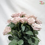 Rose AA