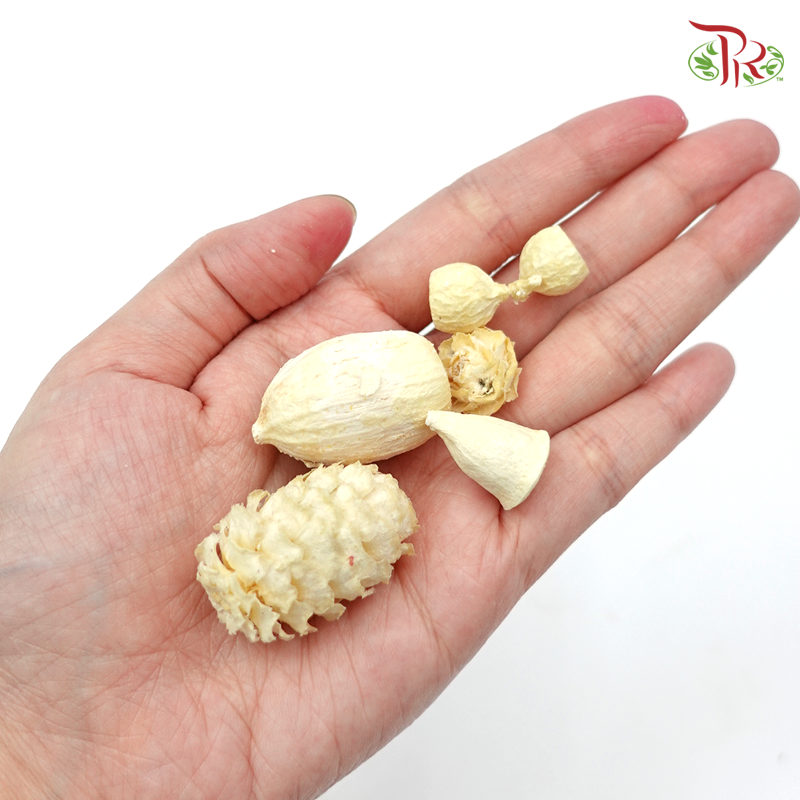 Nuts Mixed Small Preservative ( 2484-1-010 ) - Pudu Ria Florist
