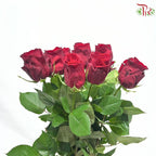 Rose 《玫瑰》(No Net)