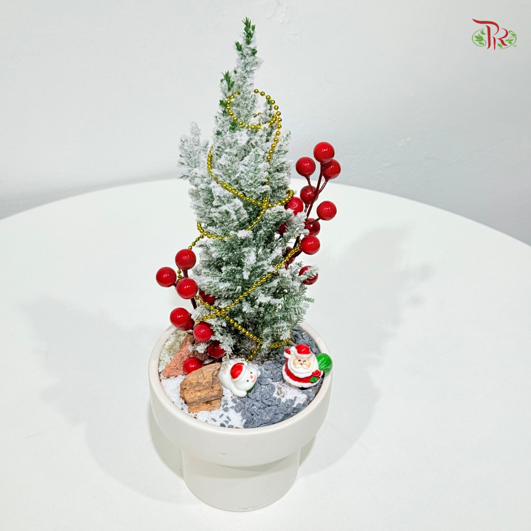 【XMAS 2025】Forest of Christmas 圣诞之森