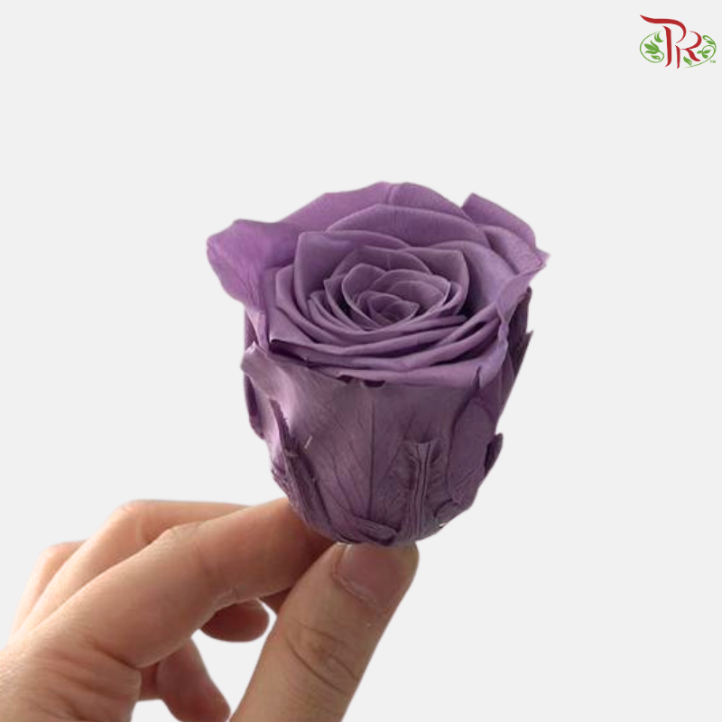 8 Blooms Preserved Rose