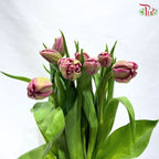 Tulip
