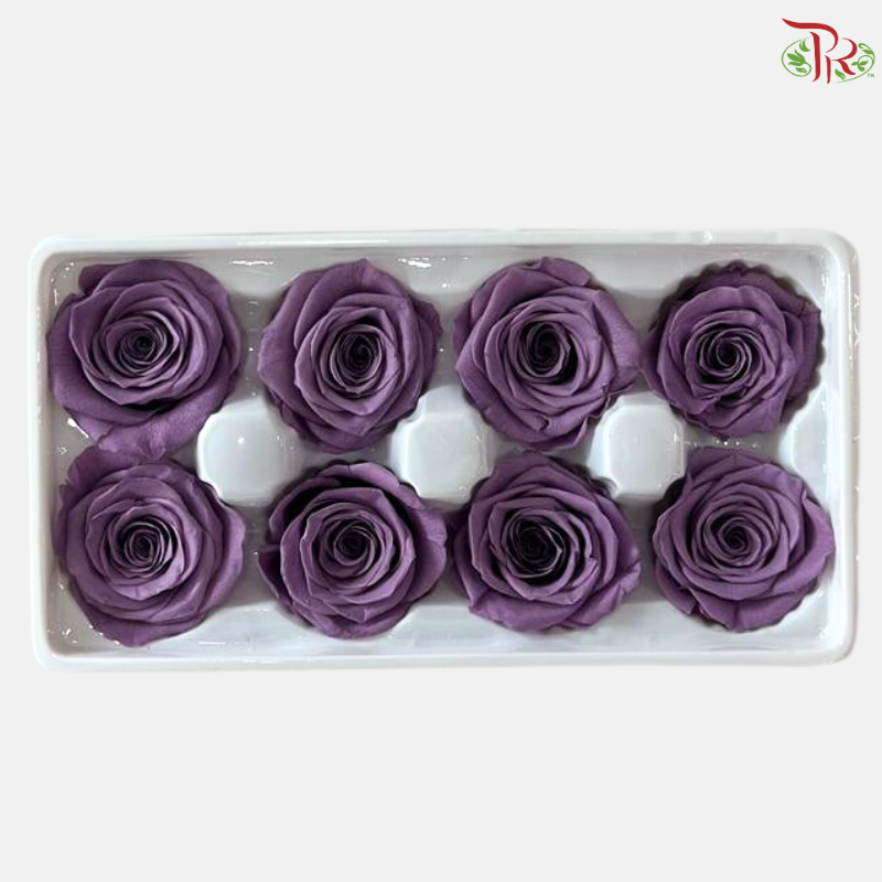 8 Blooms Preserved Rose