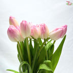 Tulip