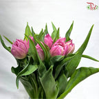 Tulip